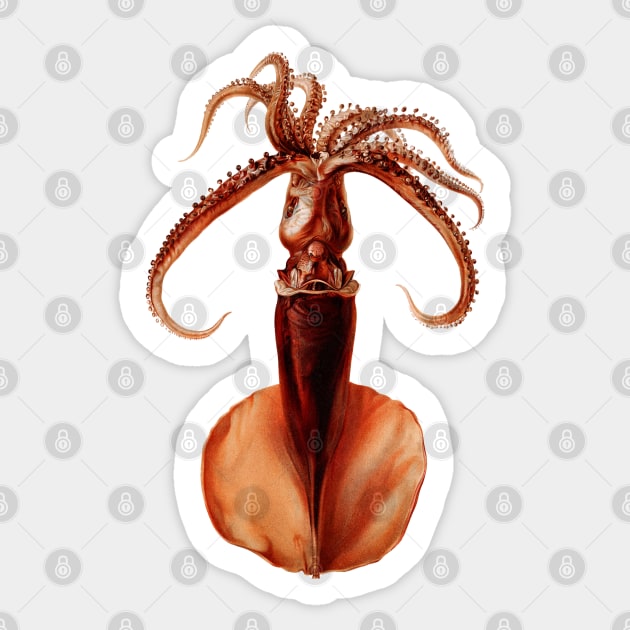 Giant Squid Sticker by YOPD Artist